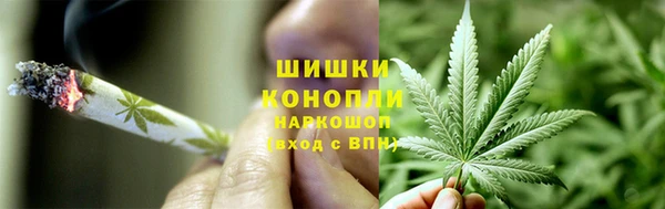 стафф Осинники